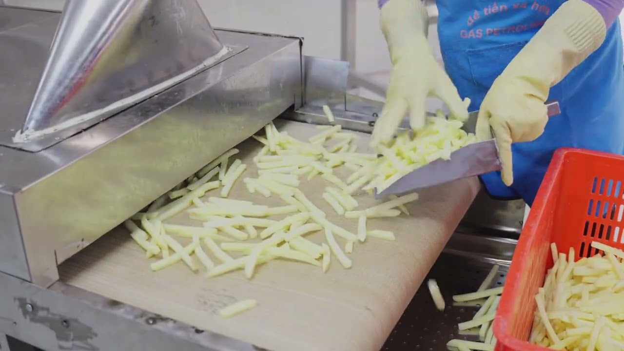 Giới thiệu quy trình sản xuất khoai tây chiên tại CENTRAL VINA FOOD